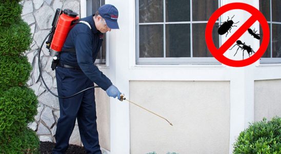 Araklı Pire İlaçlama böcek ilaçlama ve haşere kontrolü — ilaclama-tr.com
